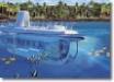 Submarine and Glass Bottom Boat Ride